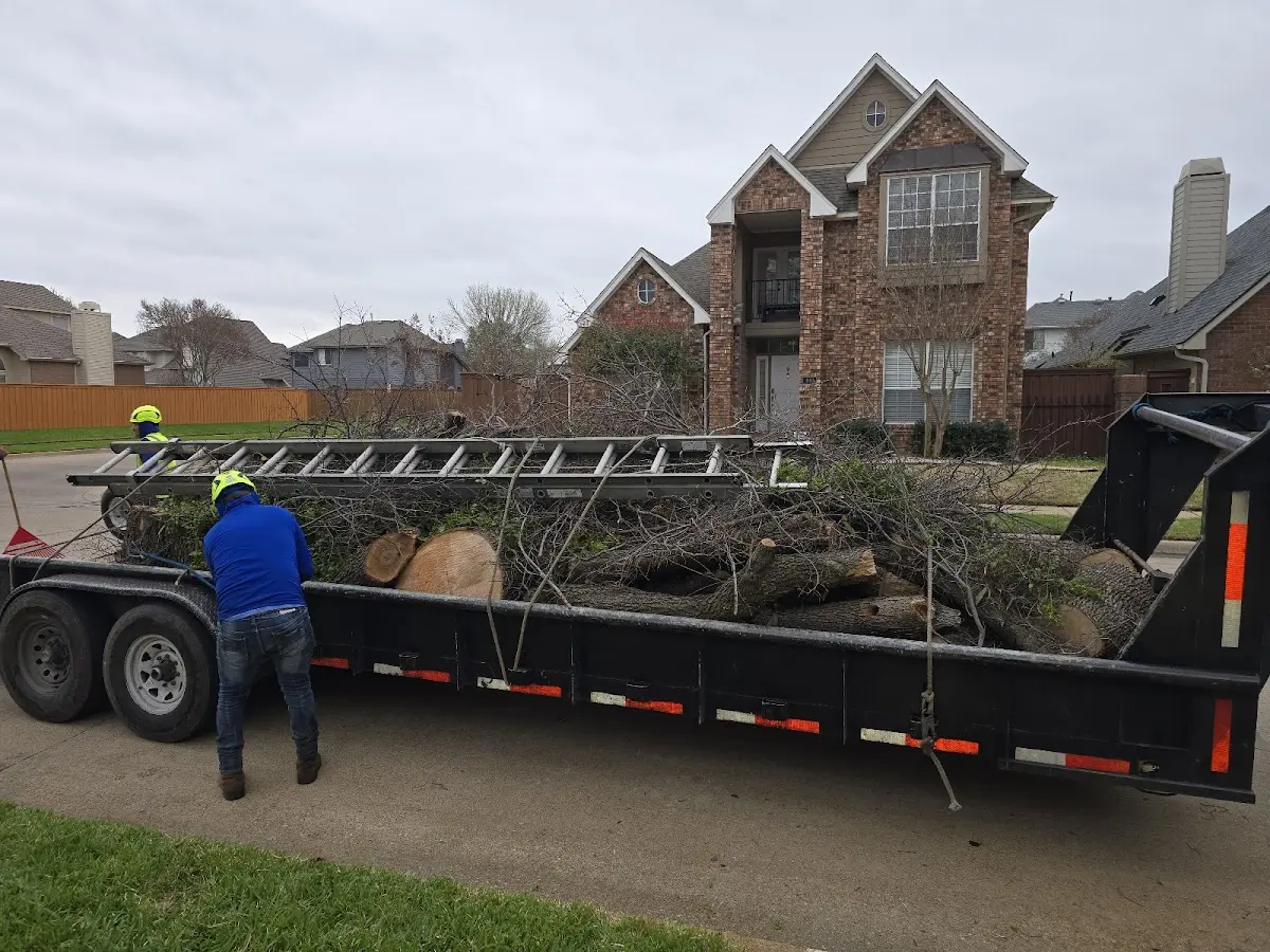 Expert Tree Removal with proper safety equipment in Arkadelphia